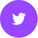 twitter-icon